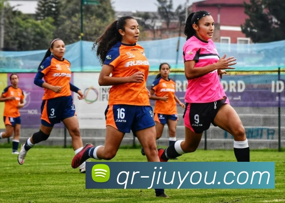 九游体育平台生态图